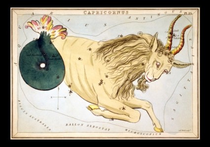 capricorn